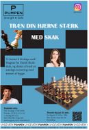 skak med Dansk Skoleskak